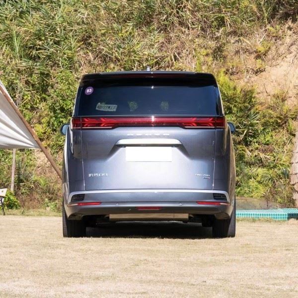 Denza D9 MPV Plug-in Hybrid 7SEATS