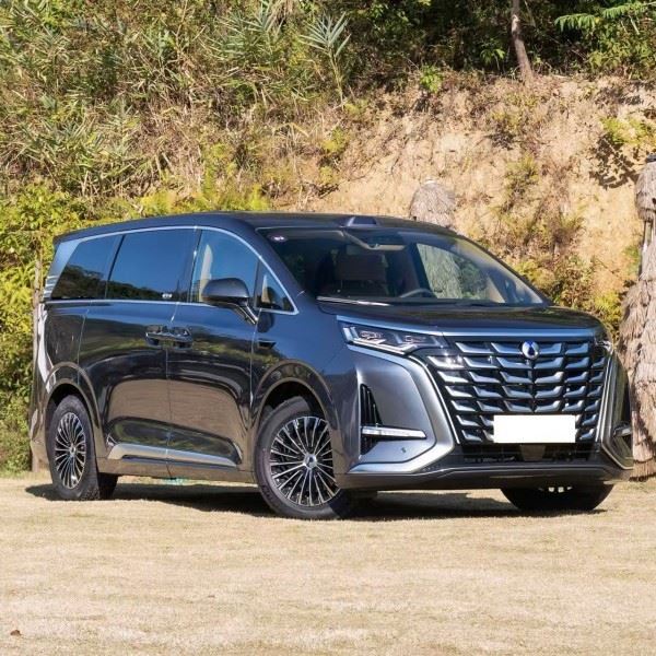 Denza D9 MPV Plug-in Hybrid 7SEATS