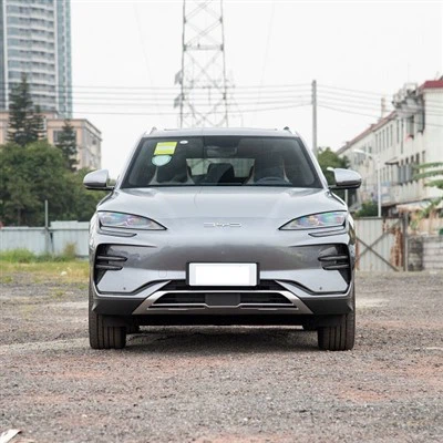 Carranna leictreacha inacmhainne